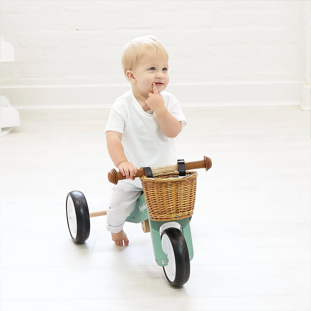 Buy Toddler Trike | 2 in 1 Mini-Trike | Wooden Kids Tricycle | By Hip ...